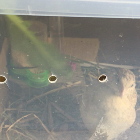 simple is best？の画像