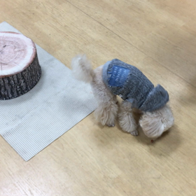 台も小さくせねば。の画像