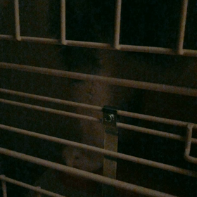 可愛げのない女の画像