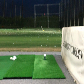 350ヤードオーバー‼️の画像