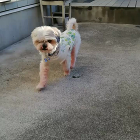 ごきげんさん♪の画像