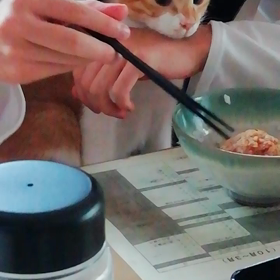 かずとしの画像