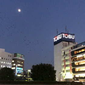 TOBU①動画の画像