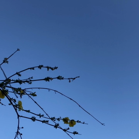 2021年3月11日14時46分の空にの画像