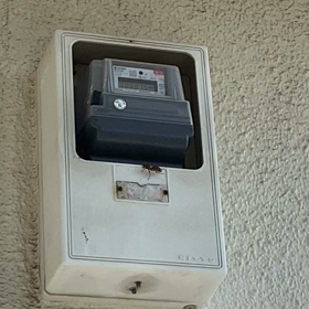 アシナガバチの画像