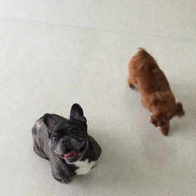 ♪プレイルーム動画♪の画像