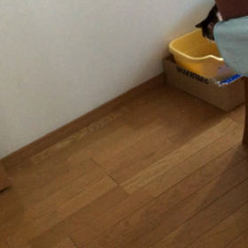 孫守で、今日は夜活！デールちゃん出かける前におしっこしてくれて少し安心！の画像