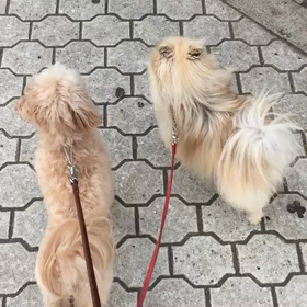 お久しぶりです。の画像