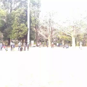 ダッシュ(紺・黄緑グループ)⑥の画像