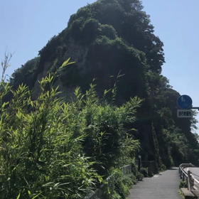 これから夏本番なのにの画像