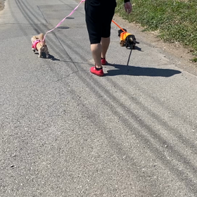 追い風ダッシュの画像