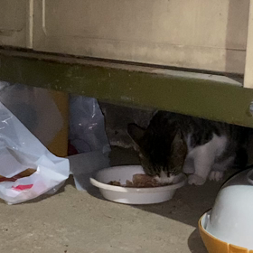 8820 5 ERASの画像