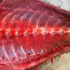 高知県産黒マグロの画像