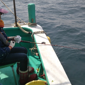 なかなかの竿さばきの画像