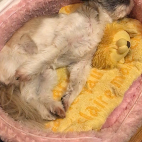 一億円のサヨナラ　第1話、第2話、第3話の画像