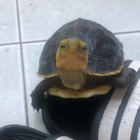 ほんとに。。の画像