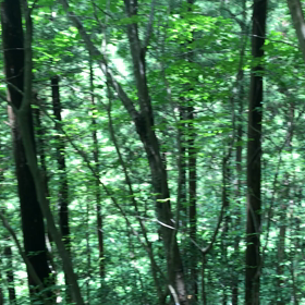 川苔山 ザ・ムービーの画像