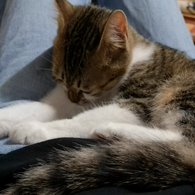 #戦いのあとはの画像