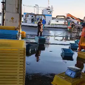 おはようございます。これどうなの？の画像