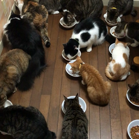 朝のご飯ラッシュの画像