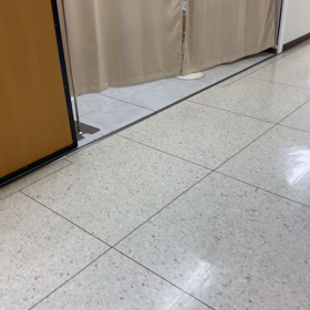 お披露目しますwの画像