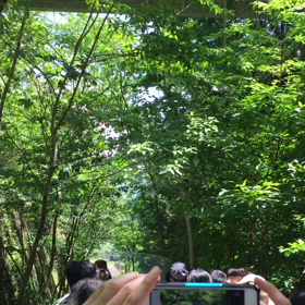 動画☆あまてらす鉄道の画像