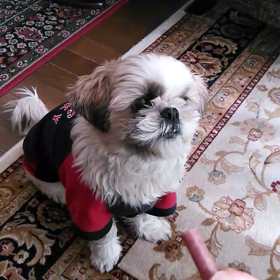 失敗と成功の画像