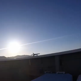 6/4  釣果情報　(平井鉄筋含む)の画像