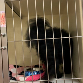 お泊り♡かるたくんの画像