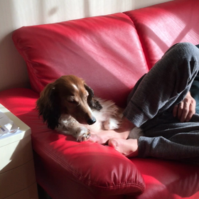 もう節分！の画像