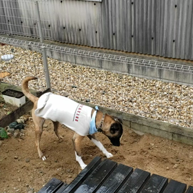 雨の中。。。の画像