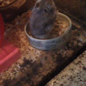 冷えますよ。布団を厚めに。の画像