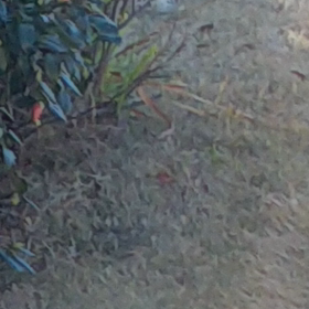 今日は病院の日の画像