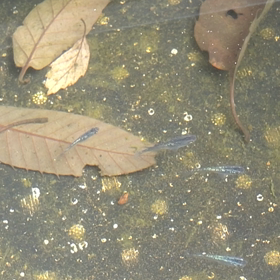 問題なしの画像