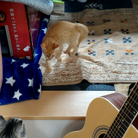 仲良し？笑の画像