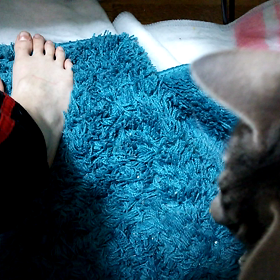 運命ではない赤い糸の画像