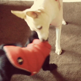 振 り返るの画像