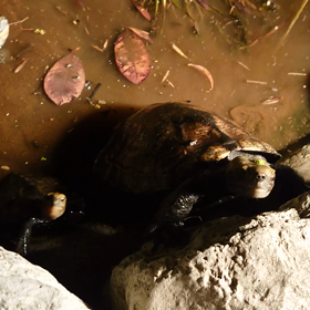 住民紹介の画像