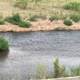 続く断捨離その2の画像