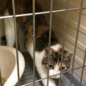 お泊まり♡ハナちゃんの画像