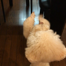 土砂降りの画像