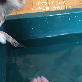 iPhoneについて語る(オチなし)の画像