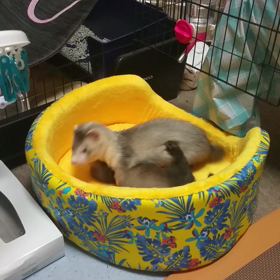 冷感ソファの画像