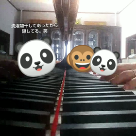 ♪となりのトトロ♪パート2(動画あり)の画像