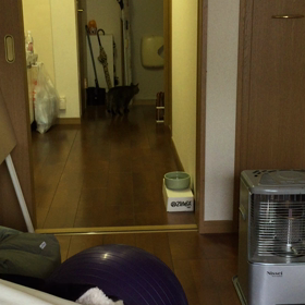 朝 その2の画像