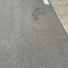 もぐ　リード装着の画像