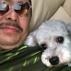 頑張りぃやあの画像