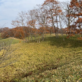 鶴居どさんこ牧場1日目の画像