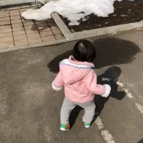 お散歩の練習の画像