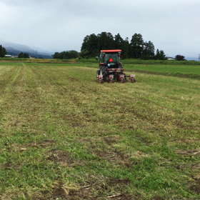 デントコーンの非耕起播種の画像